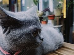 -Home Cafe(水榭春天店)
