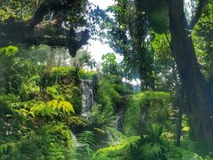 -Chom Cafe and Restaurant