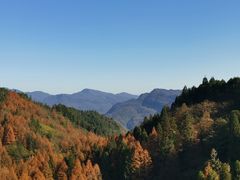 -山王坪喀斯特国家生态公园