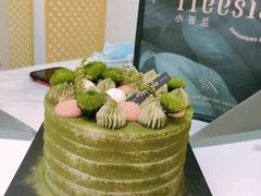 -小苍兰风铃草·礼物蛋糕(沈阳店)