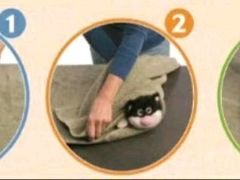 -瑞鹏宠物医院犬猫全科(真大分院)