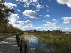 -野鸭湖国家湿地公园