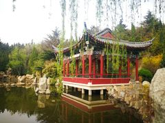 -龙口南山旅游景区