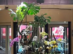 -上海尊茂酒店