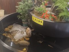 -九寨沟石锅鱼(沣峪口二十年店)