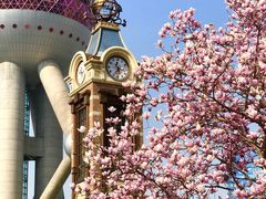 -东方明珠广播电视塔