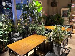 -百好乐宠物友好餐厅(朝外大街店)