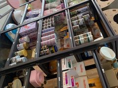 -喵百万·布偶·蓝金金渐层英短·猫舍(百子湾店)