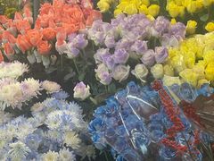 -越秀西湖花市(广州城市广场花卉店)