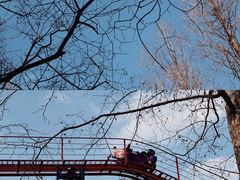 -上海共青森林公园