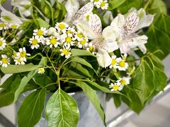 -精绝七日-新疆尼雅遗址数字大展【拉法耶文化艺术中心】