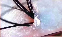 -LJOY丽锦造型·烫发染发