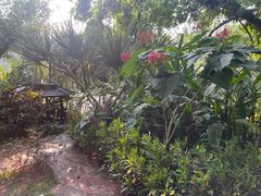 -曼听御花园