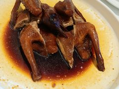 -侨美·唐荔园·40年地道粤菜