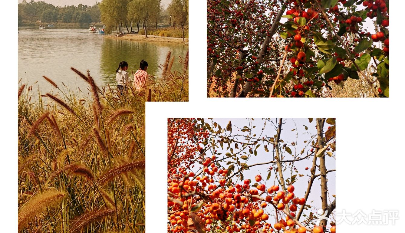 免费公园 近距离接触小动物