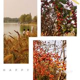 免费公园 近距离接触小动物