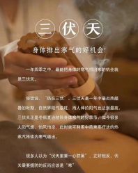 -YESIDO椰岛美容