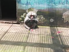 -无锡动物园·太湖欢乐园