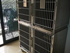 -圣宠动物医院·犬猫专科·影像中心·外科中心