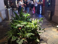 门面-乐彡炸串·烤苕皮(西单华威约饭街店)