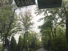 -顺鑫绿色度假村