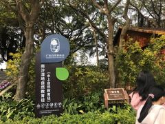 -大湾区中央湿地公园