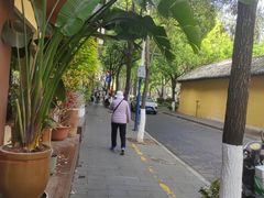 -翠湖公园