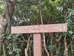 -太平山顶