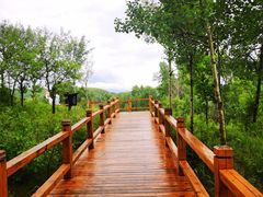 -塞罕坝国家级自然保护区