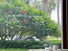 -厦门艾美酒店·新食谱西餐厅