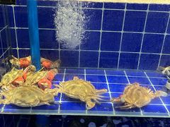 -百纳·锦绣江南 (百纳瑞汀酒店)