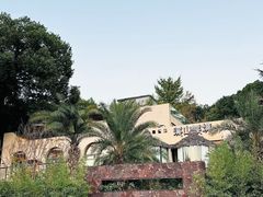 -溪山云境森林音乐餐厅(湖景店)