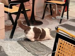 -seeu coffee(江滩店)