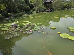 -云溪植物园