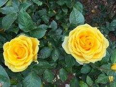 -人民公园(罗湖区)