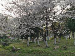 -堤角公园