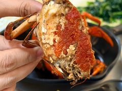 -莲花公园煎蟹(总店)
