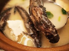 跳跳鱼撞豆腐-莆田餐厅PUTIEN(西安万象天地店)