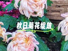 -富乐山