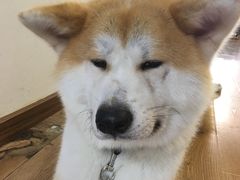 -YCHL Studios健身工作室(市二宫店)