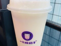 -一只酸奶牛(八一路店)