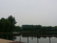 -东郊湿地公园