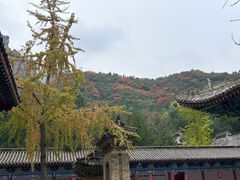 -青龙山生态文化旅游区(慈云寺)