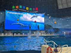 -泉城欧乐堡海洋极地世界