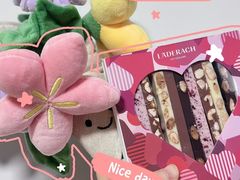 -Laderach 莱德拉(上海环贸iapm店)