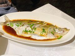 -金美华轩(东方路齐鲁店)