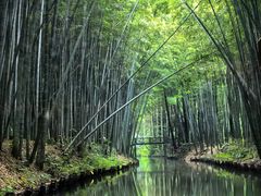 -同里国家湿地公园