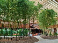 -北京望京凯悦酒店The Lounge大堂酒廊