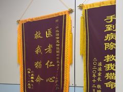 -中农国际动物医院24小时·猫科·骨科·急重症中心