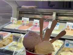 -Dooley's Premium Ice Cream